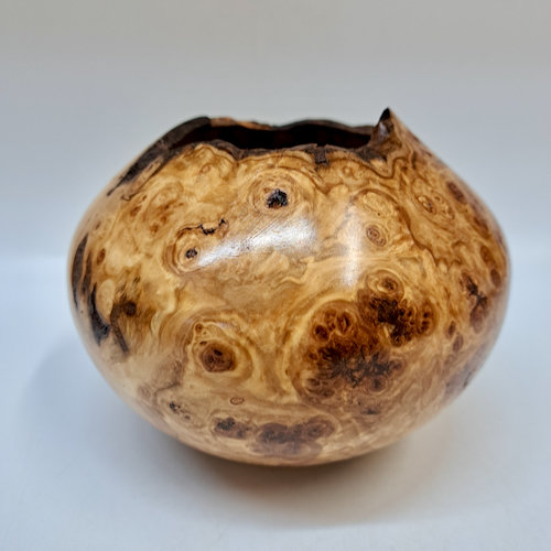 JW-255 Colorado Aspen Burl Hollow Woodturning $175 at Hunter Wolff Gallery